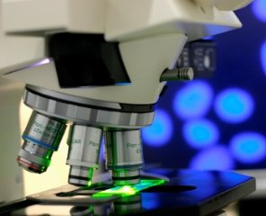 Лабораторная диагностика в эндокринологии диагностика в эндокринологии
