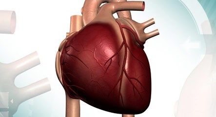 Операция АКШ в Израиле