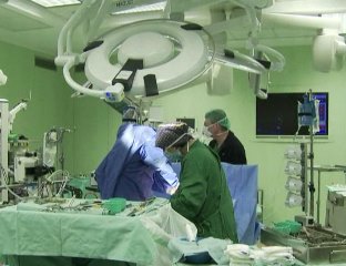 Трансплантация костного мозга Гематология в Израиле