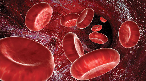 Лечение рака крови в Израиле