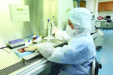 Способ перезагрузки иммунной системы 