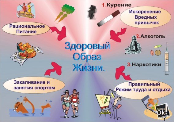 здоровый образ жизни