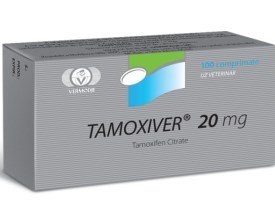 Гормонотерапия рака молочной железы - тамоксифен рак молочной железы в израиле