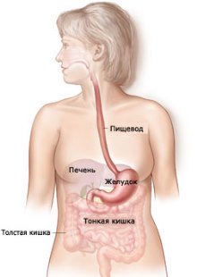болезни жкт симптомы